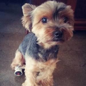 Meet your Posher, Rita